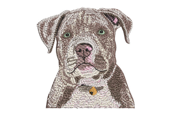 American Bully Puppy